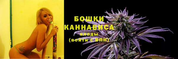 сатива Покачи