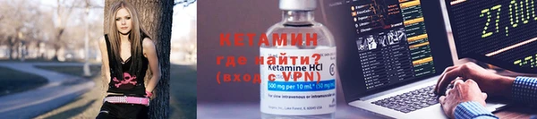 сатива Покачи