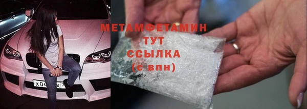 сатива Покачи