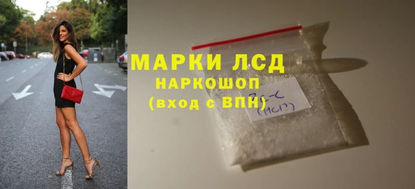 сатива Покачи