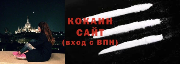 сатива Покачи