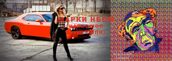 шишки Покровск