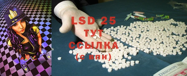 сатива Покачи