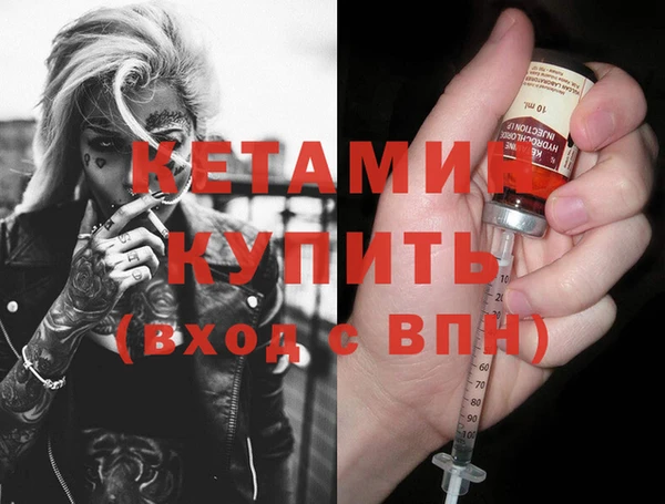 сатива Покачи