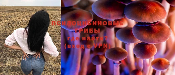 шишки Покровск