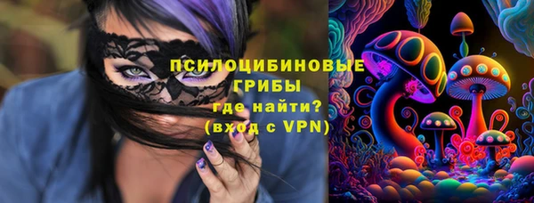 сатива Покачи