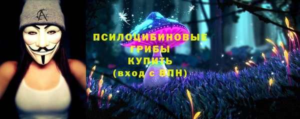 сатива Покачи