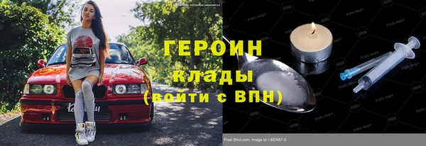 прущие грибы Заволжск